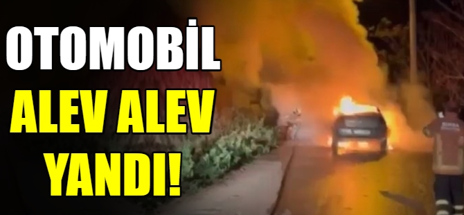 Otomobil alev alev yandı