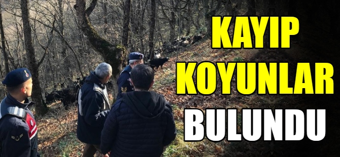 Kayıp koyunları ekipler buldu