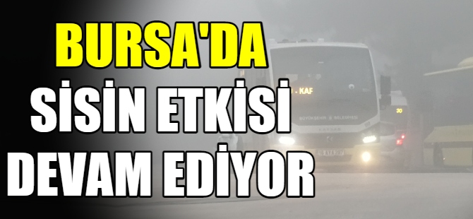 Bursa’da sisin etkisi devam ediyor