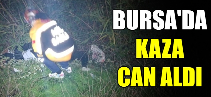 Bursa'da kaza can aldı