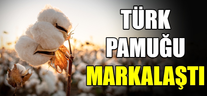 Türk pamuğu markalaştı