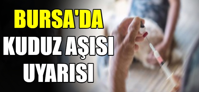 Bursa'da kuduz aşısı uyarısı