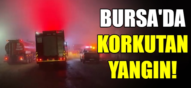 Bursa’da korkutan yangın