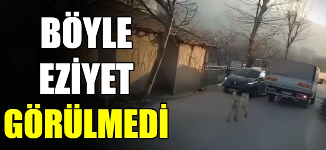 Köpeği kamyonete bağlayıp sürükledi