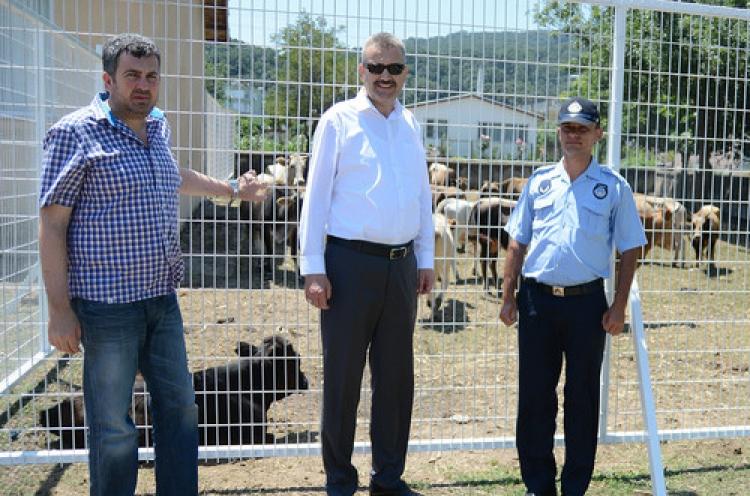 Başıboş gezen hayvan sahiplerine ceza