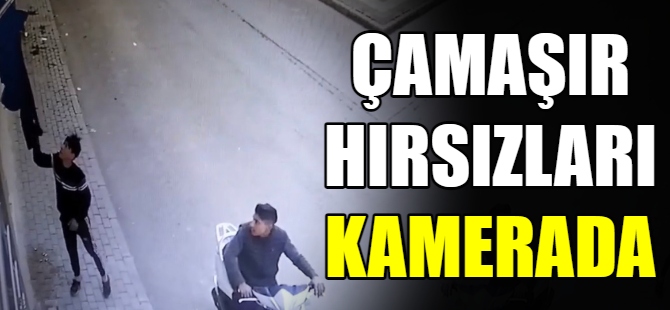 Çamaşır hırsızları kamerada