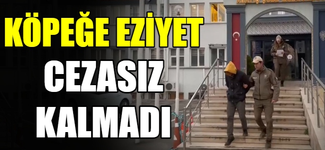 Köpeğe eziyet cezasız kalmadı