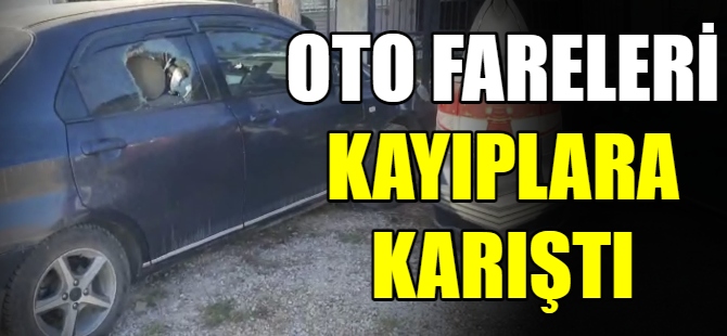 Oto fareleri kayıplara kayıştı