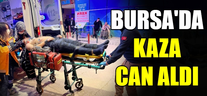 Bursa'da kaza can aldı