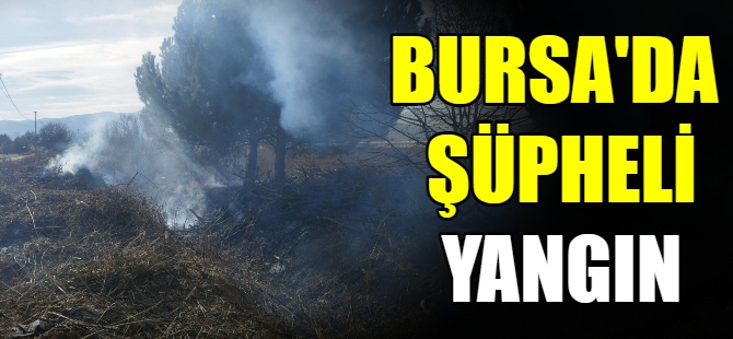 Bursa'da şüpheli yangın