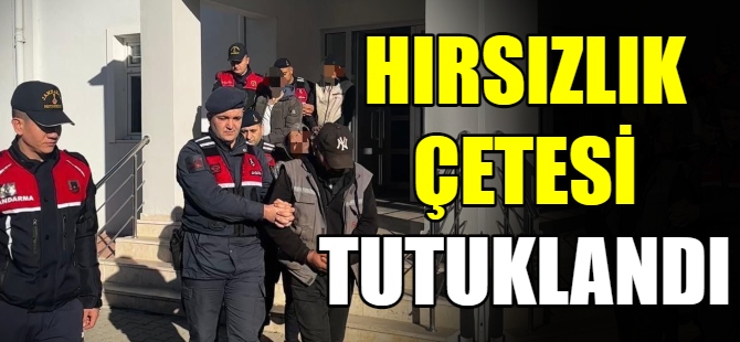 Hırsızlık çetesi tutuklandı