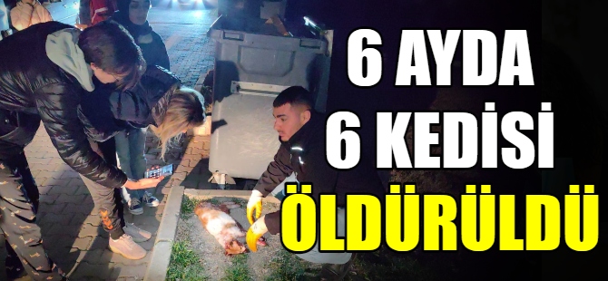 6 ayda 6 kedisi öldürüldü