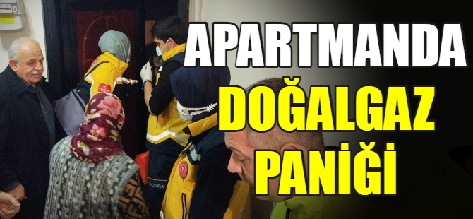 Apartmanda doğalgaz paniği