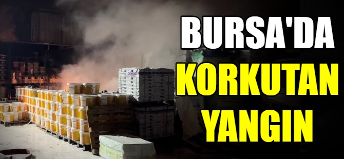 Bursa'da korkutan yangın