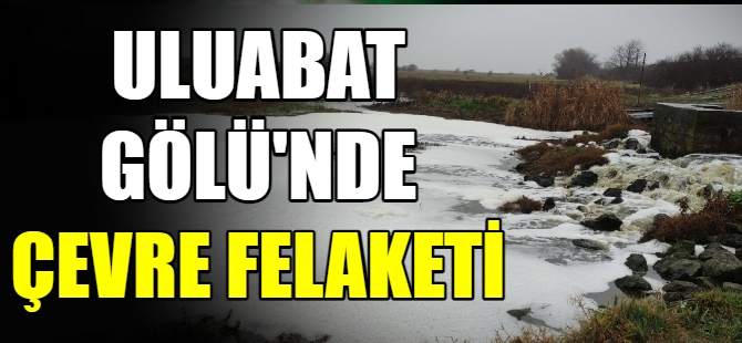 Uluabat Gölü'nde çevre felaketi