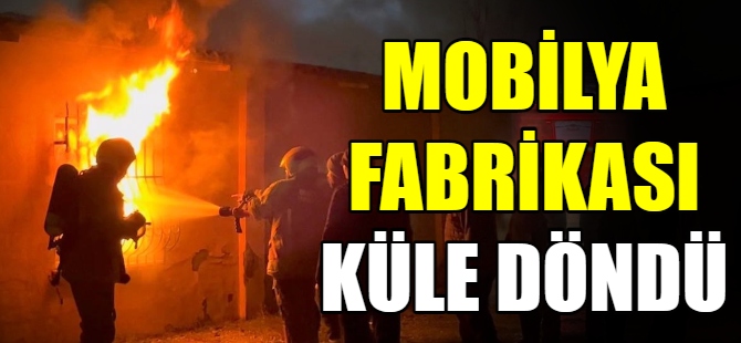 Mobilya fabrikası alev alev yandı