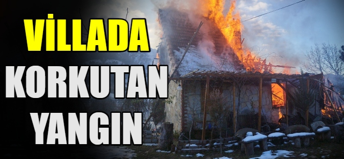 Villada korkutan yangın