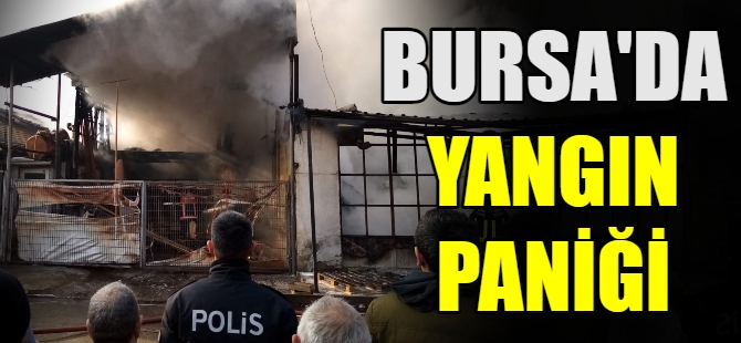 Bursa'da korkutan yangın