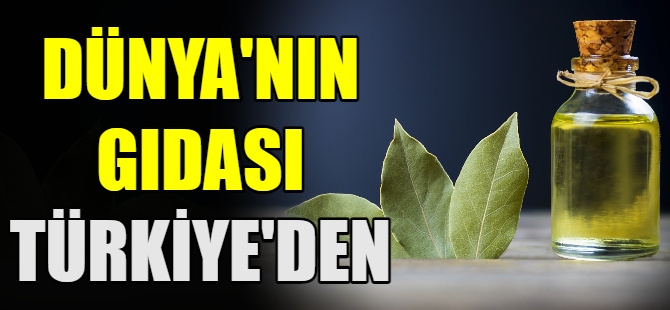 Dünyanın gıdası Türkiye'den