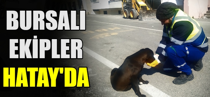 Bursalı ekipler Hatay'da