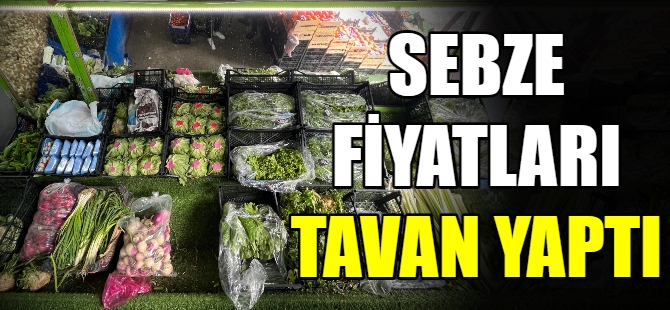 Meyve sebze fiyatları tavan yaptı