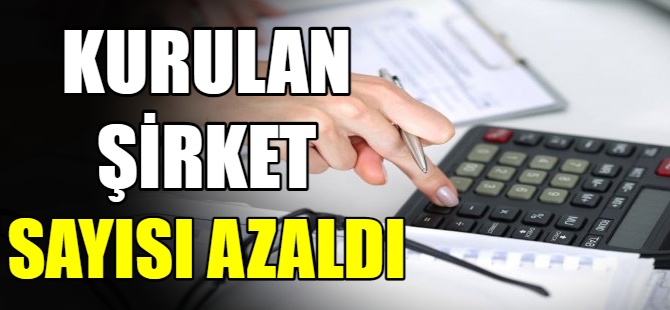 Kurulan şirket sayısı azaldı