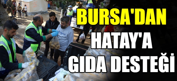 Bursa'dan Hatay'a gıda desteği