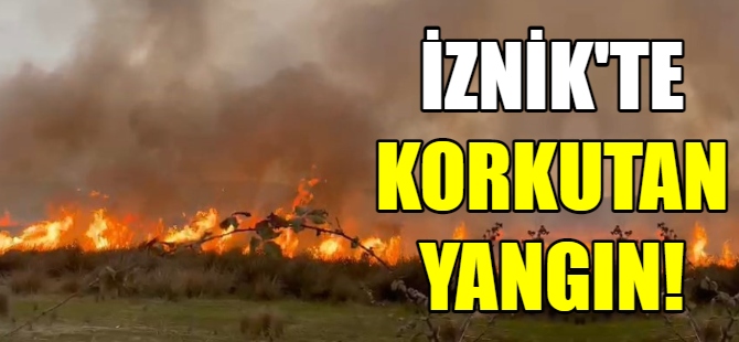 İznik'te korkutan yangın