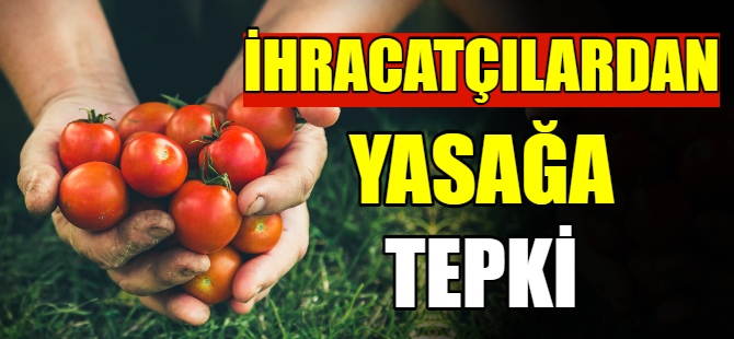 İhracatçılar'dan domates yasağına tepti