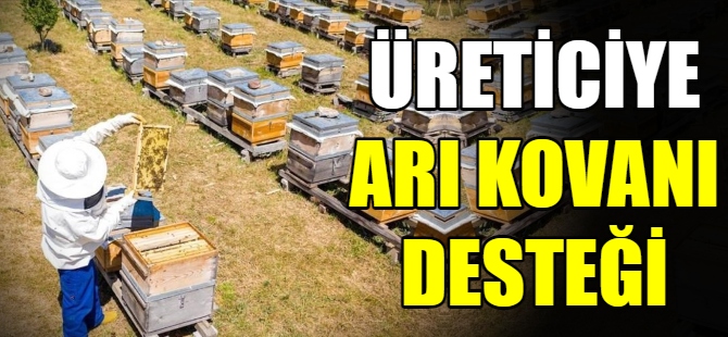 Üreticiye arı kovanı desteği