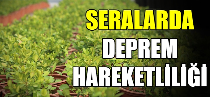 Seralarda deprem hareketliliği