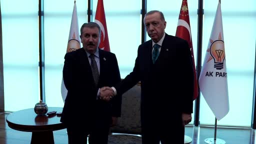 Erdoğan, Desticiyle görüştü