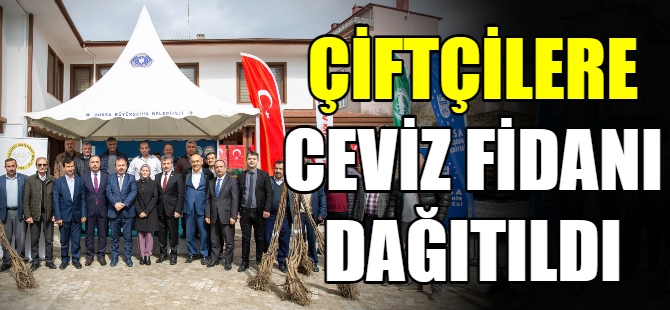 Cevizin merkezi Harmancık olacak