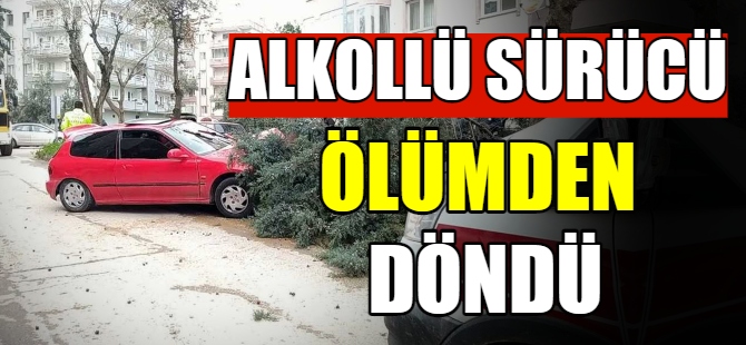 Alkollü sürücü ölümden döndü