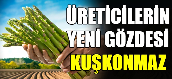 Kuşkonmaz yatırımcıların gözdesi