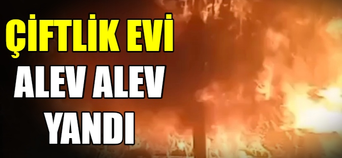 Çiftlik alev alev yandı