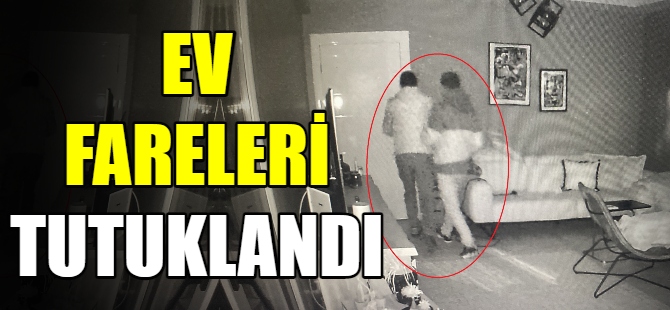 Ev fareleri tutuklandı