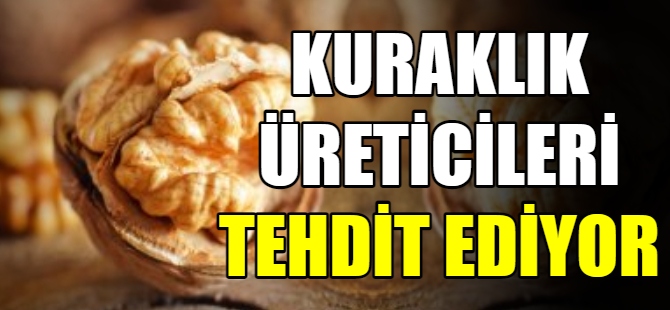 Kuraklık üreticileri tehdit ediyor