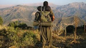 PKK'nın sorumlusu Şanlıurfa'da yakalandı
