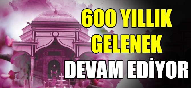 Erguvan bayramı geleneği sürüyor