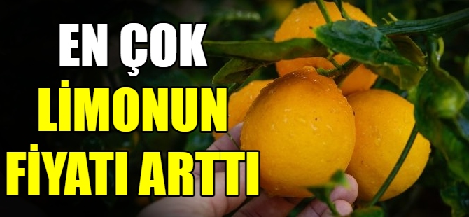 Nisan'da en fazla fiyat farkı limonda