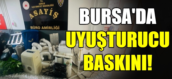 Evini uyuşturucu serasına çevirdi