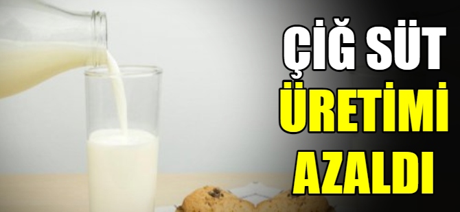 Çiğ süt üretimi azaldı