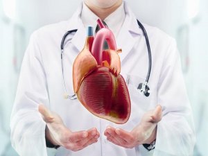 Kalp hastalıklarından korunmanın yolları?