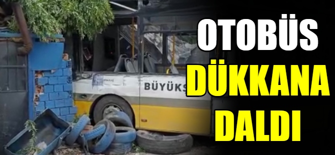 Halk otobüsü dükkana daldı