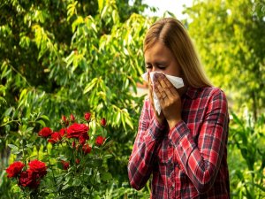 Bahar aylarında alerjik astıma dikkat!
