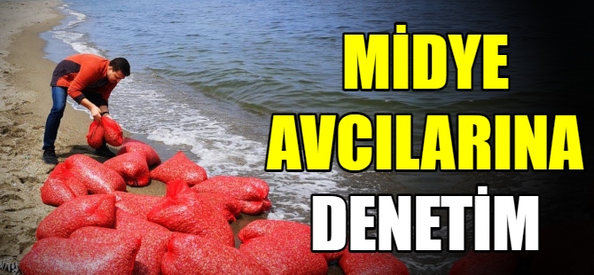 Midye avcılığı denetimi devam ediyor