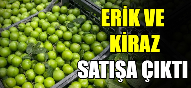 Erik ve kiraz satışa çıktı