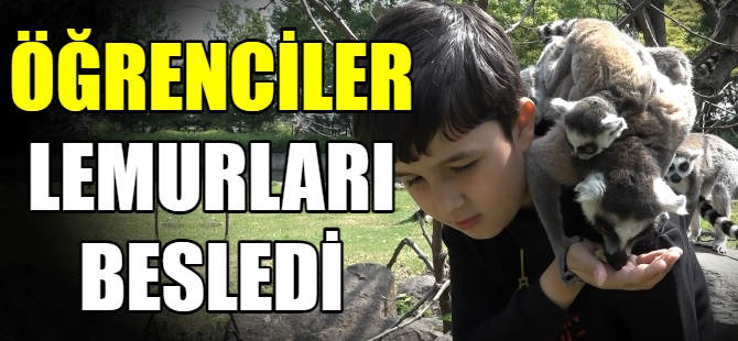 Öğrenciler lemurları elleriyle besledi