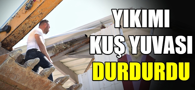 Yıkımı kuş yuvası durdurdu